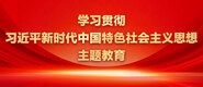 小骚逼被大鸡巴操的流水视频学习贯彻习近平新时代中国特色社会主义思想主题教育_fororder_ad-371X160(2)